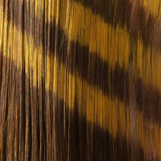 Lioness Flow Package